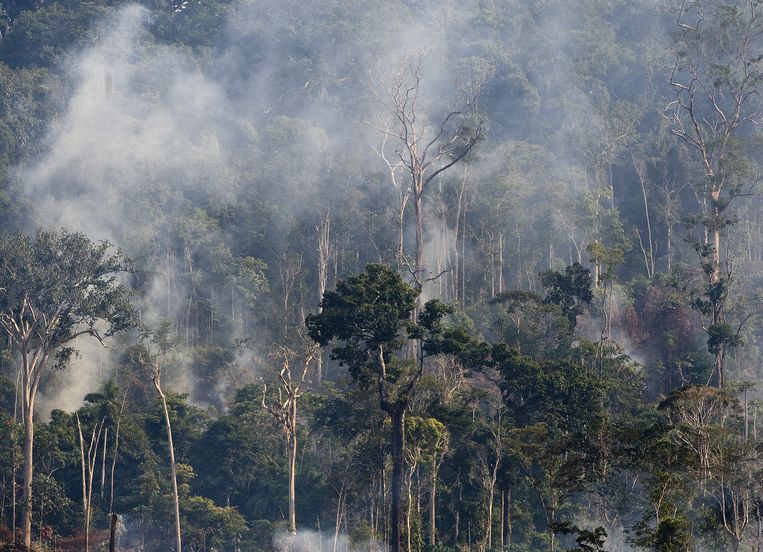 Bolsonaro stuurt leger naar Amazonegebied Het