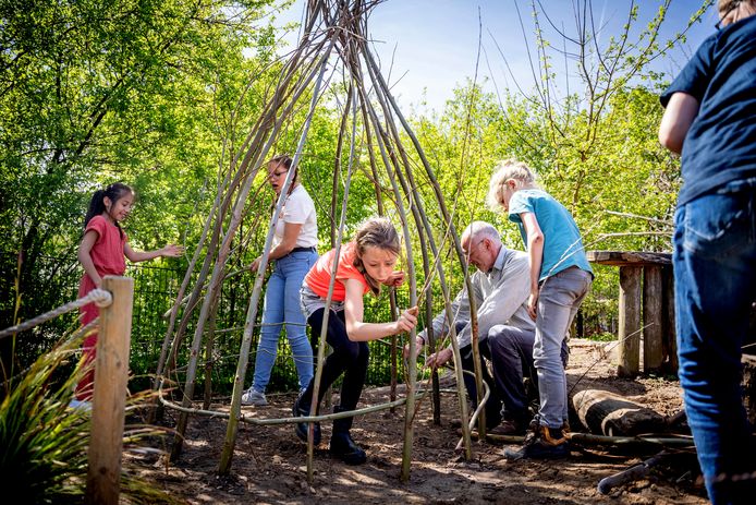 De kinderen van groep 3/4/5 van basisschool Montijn bouwen hutten op hun groene schoolplein.