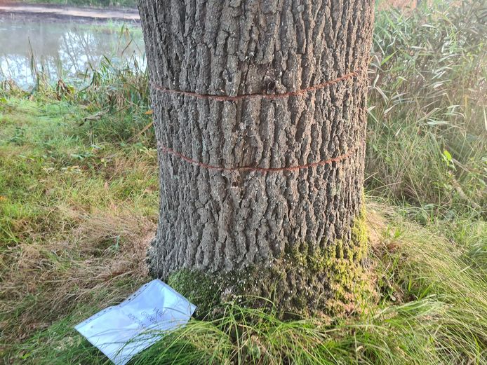 Drie bomen werden beschadigd en de vandalen lieten ook een boodschap achter.