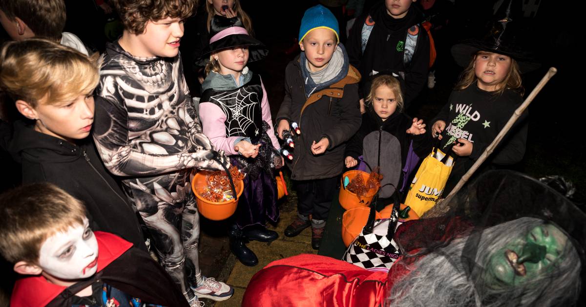 Snoep in overvloed, maar ook een doodenge vent met een kettingzaag in Hallowelle