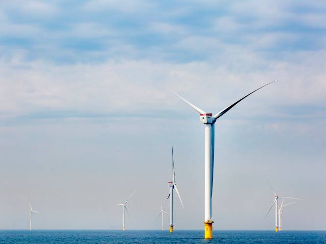 Nederlandse regering wil enorme uitbreiding van windenergie op zee
