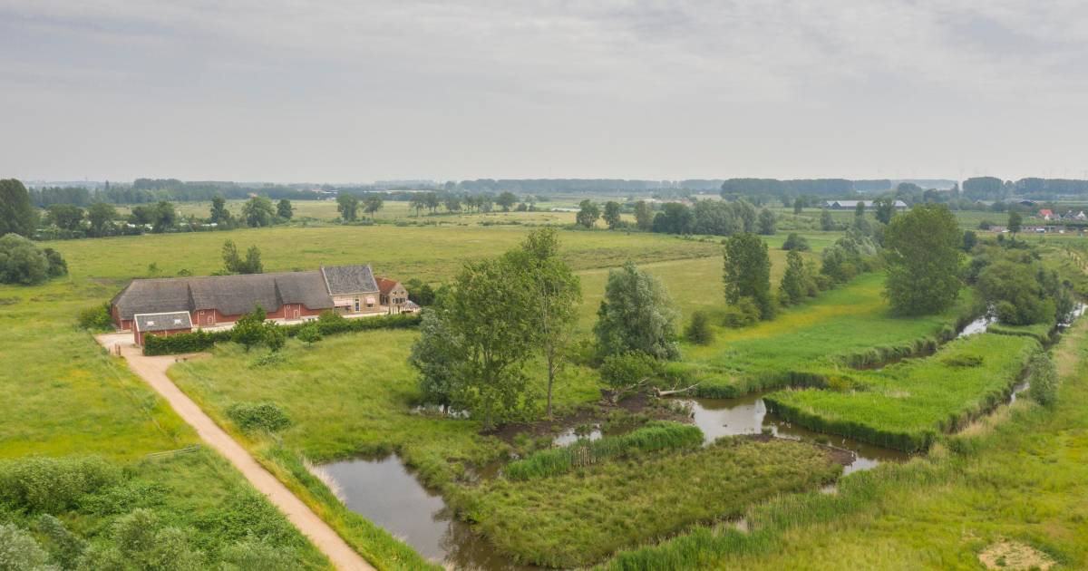 ‘De mooiste boerderij op de mooiste plek van heel Zeeland’ staat te koop