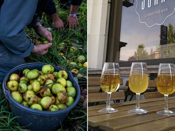 De revival van de cider: dit is waarom een glas appelwijn de ideale zomerdrank is én hier drink je er eentje in eigen land