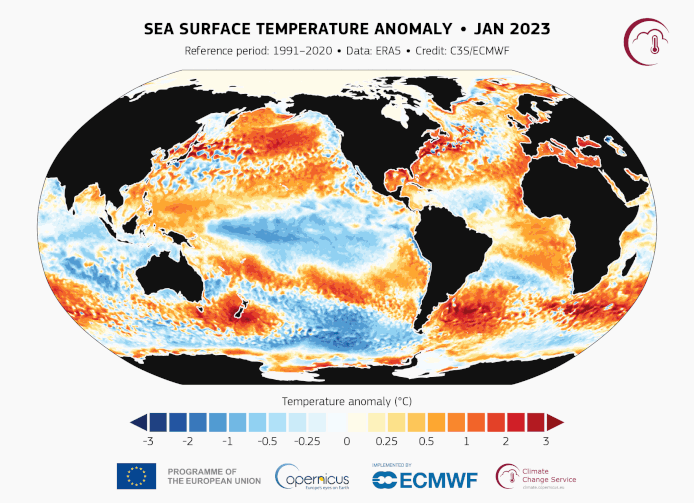 Ook de wereldwijde zeewatertemperaturen stegen afgelopen jaar steevast naar recordhoogtes.