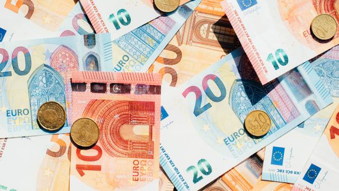 Werkende Vlaming had in 2022 netto beroepsinkomen van gemiddeld 2.550 euro per maand