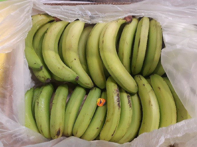 La drogue était dissimulée dans un conteneur transportant des bananes.