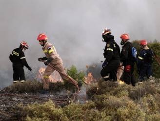 Bosbranden treffen Griekse vakantie-eiland Zakynthos