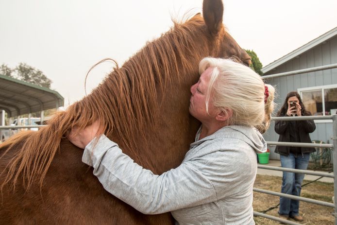 Hillary Johnson uit Paradise omhelst haar paard Augie, die ze in eerste instantie achter moest laten tijdens haar evacuatie.