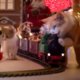 Voor alle kattenbaasjes: gebeurt dit ook in jouw huis rond kerst?
