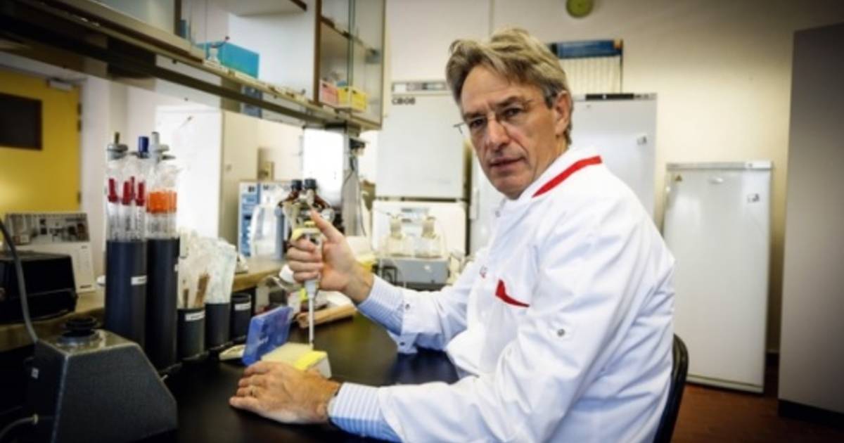 Professor Herman Goossens wants politicians to finally take corona seriously: “Stop the yo-yo and the chatter” |  Coronavirus what you need to know