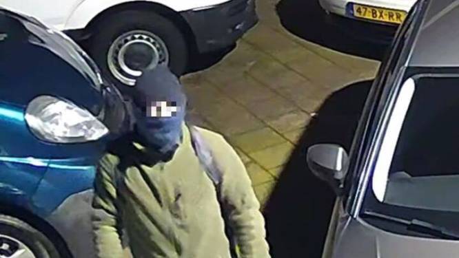 Inbrekers op heterdaad betrapt bij autobedrijf in Doornspijk: ‘Héé, wat moet je daar’