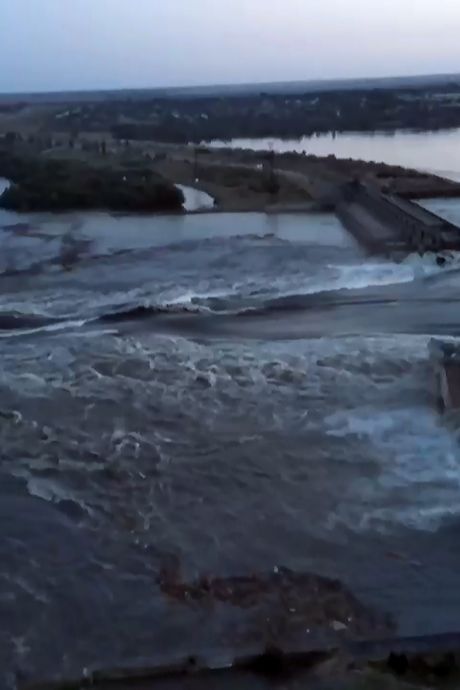 Destruction du barrage: l’Ukraine met en garde contre les maladies et la mort massive de poissons