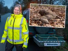 Hartverscheurende toestanden op de Veluwe: ‘Niet normaal, het is echt een bloedbad’