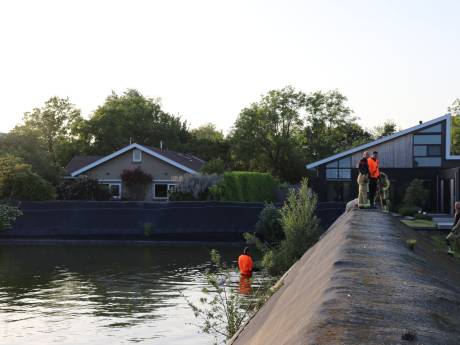 Schaap komt terecht in waterbassin in Pijnacker en verdrinkt