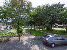 Twee jongetjes in Zwols park gedwongen tot onzedelijke handelingen