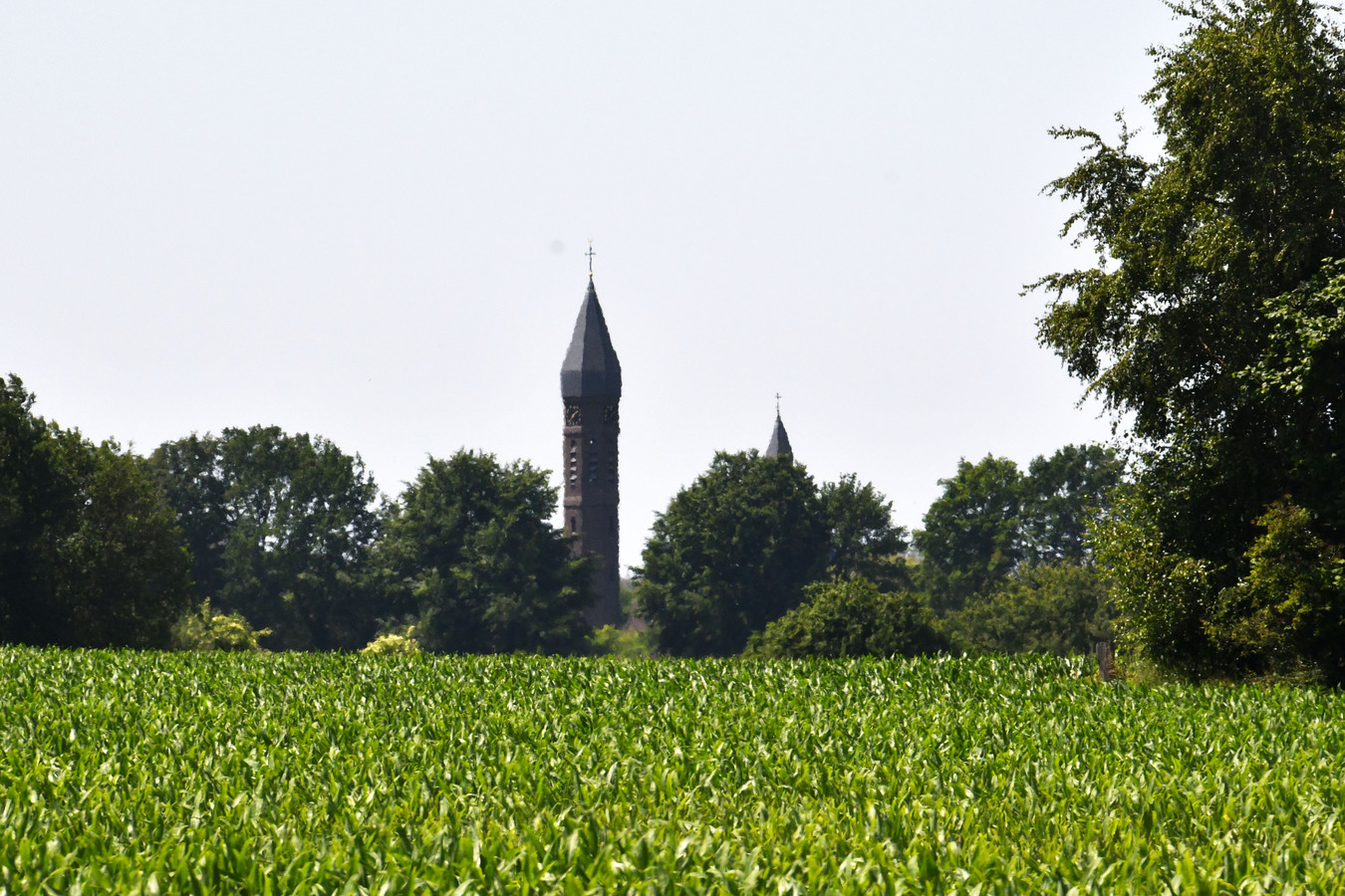 van-grolsch-tot-de-kerktoren-van-rietmolen-navigeren-op-de-vernieuwde