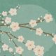 Ikigai: 10x hét Japanse geheim voor een lang en gelukkig leven (verlopen)