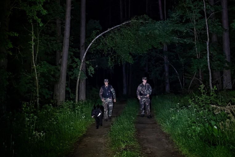 Leden van de Litouwse grenswacht patrouilleren aan de grens met Wit-Rusland in de buurt van het stadje Kapciamiestis, zo'n 160 kilometer van de hoofdstad Vilnius. Beeld AP