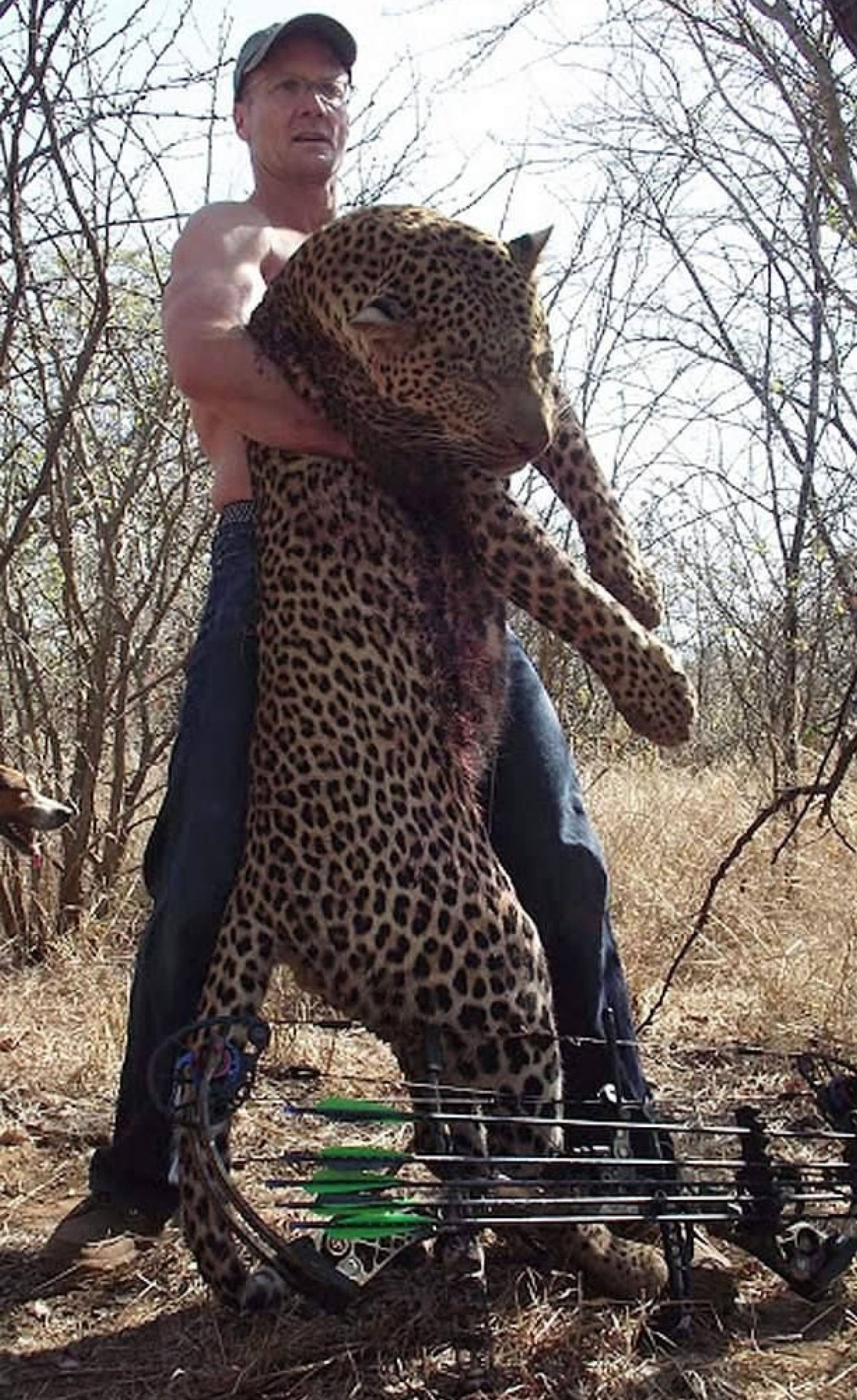 Walter Palmer met een luipaard.  Beeld REX by Shutterstock HH