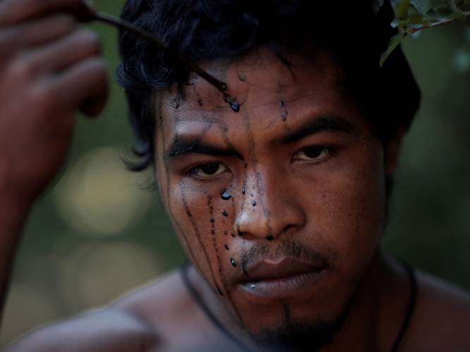 Bekende beschermer Amazonewoud vermoord door illegale houtkappers
