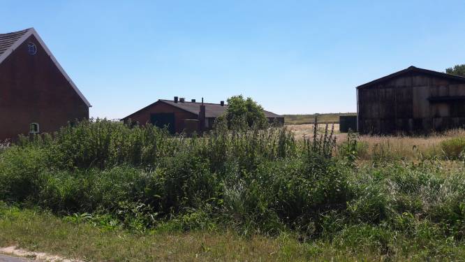Velt de slopershamer de malariamug die buurt al jaren het leven zuur maakt?