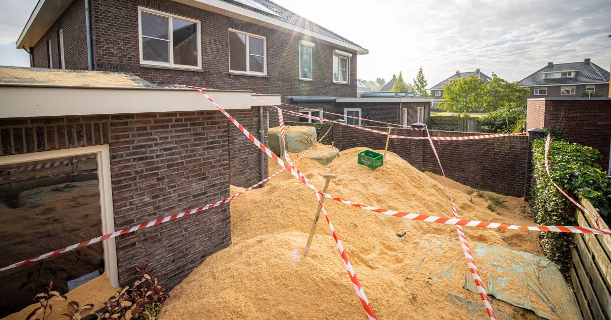 Hopelijk Zaailing ziekenhuis Bruidspaar krijgt 40 kubieke meter zaagsel in de tuin als stunt van  vrienden | Wonen | AD.nl