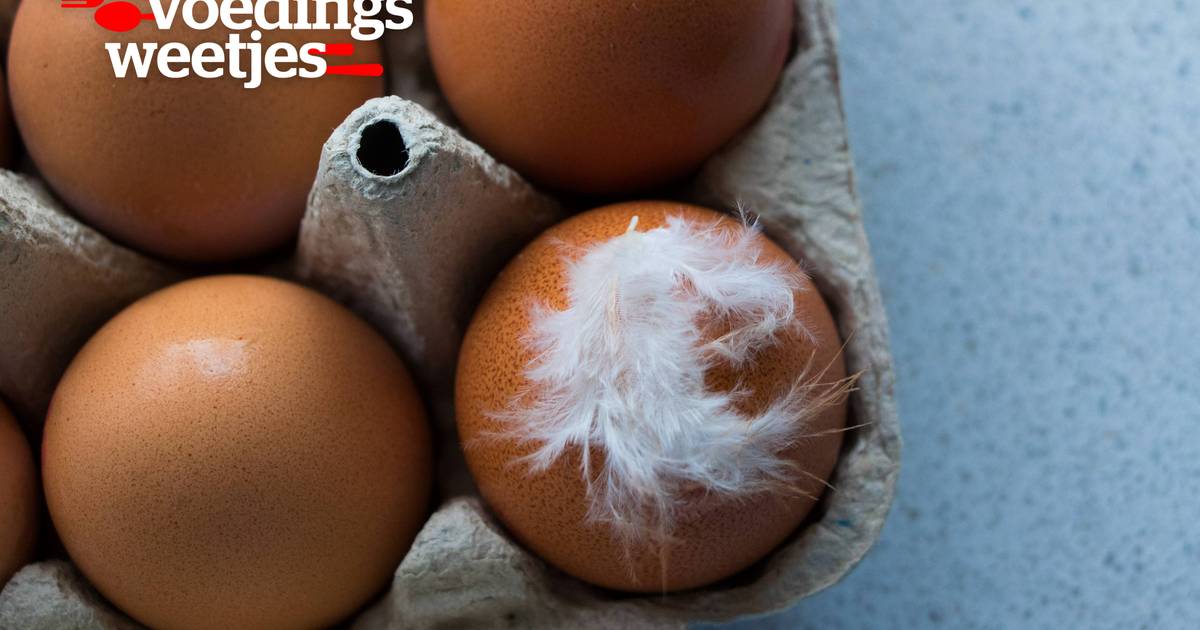 Una piuma nella cassa delle uova: pura coincidenza o trucco di vendita?  |  Cibo e conoscenza