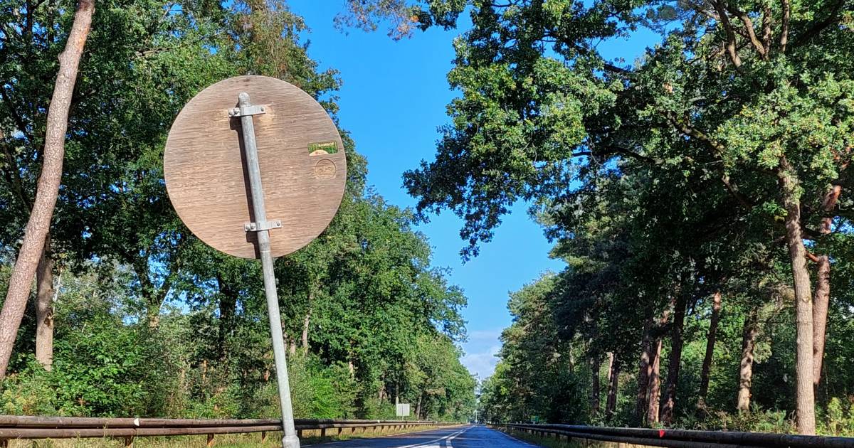 Bamboe verkeersborden langs de N631 oplossing voor tekort aan aluminium - BN DeStem