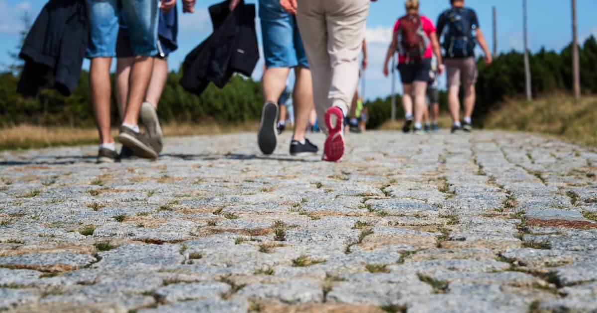 Eerste editie Wandel Feest Hoeksche Waard stijf uitverkocht - BN DeStem