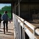 Stikstofchaos: Gelderse Staten verbolgen over niet nagekomen afspraken van het Rijk