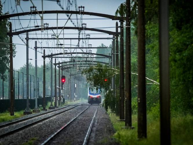Boom weer van het spoor tussen Den Bosch en Tilburg: vertraging voorbij