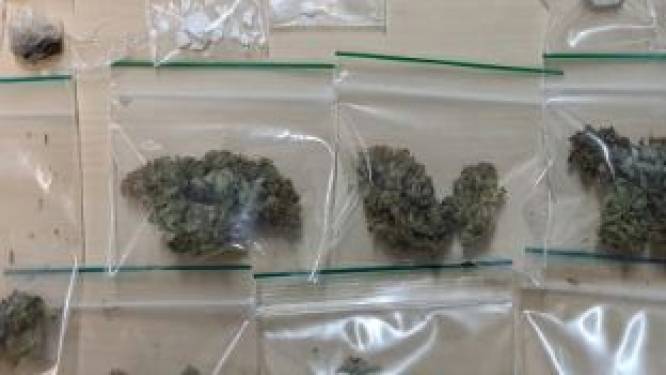 Drugsdealer verstopt zich tevergeefs achter de bosjes bij politieachtervolging in Schijndel
