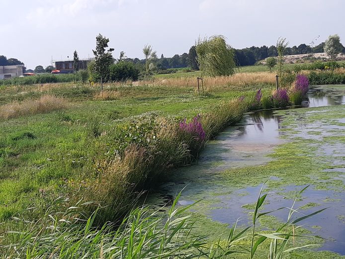 Natuur en water gaan volop samen in Geerpark in Vlijmen.