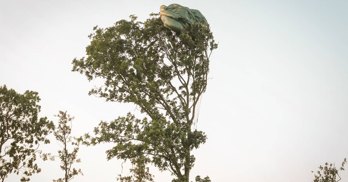 Sprong rondom herdenking mislukt volledig: zes parachutisten komen in bomen terecht