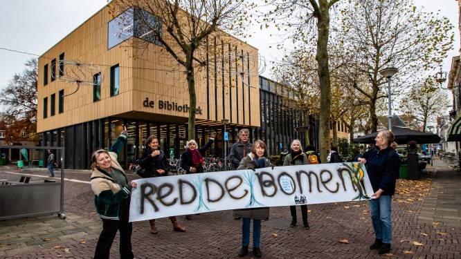 Bomenkap op de Stromarkt in Deventer krijgt politiek staartje: ‘Help ons deze bomen te redden!’