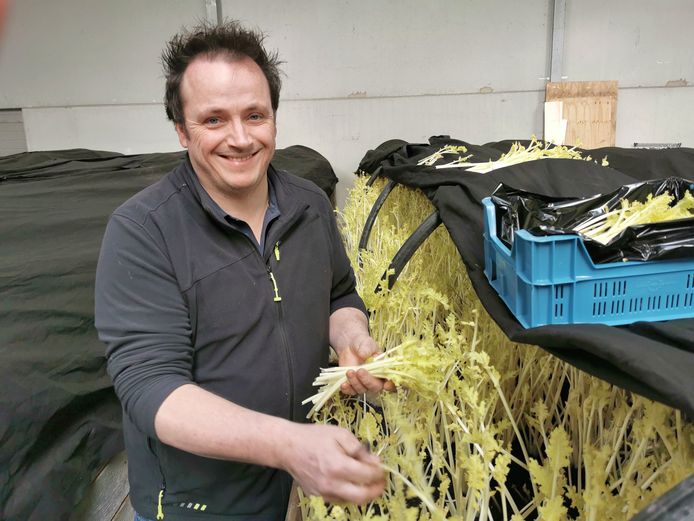 Jean Pierre van Wesemael: ,,Wilde zeekool mag nu niet meer geplukt worden en nu volg ik dit proces hier op de Mariahoeve.”