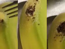 Une mère de famille découvre un nid d’araignées sur une banane achetée au supermarché: “Je pensais que c’était un mythe”