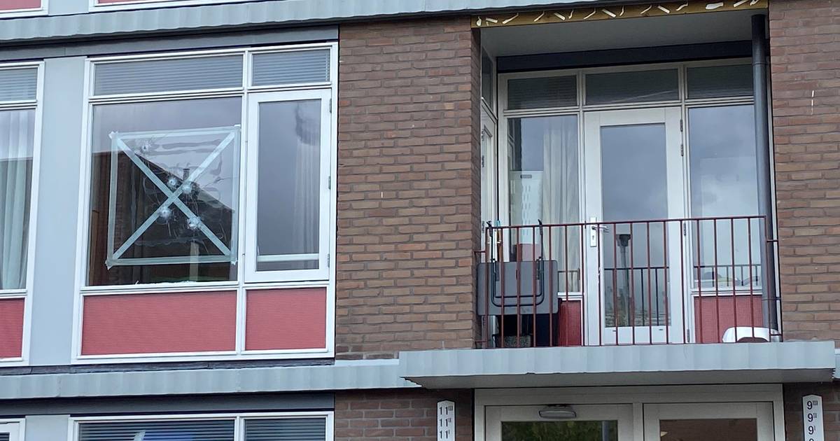 Attaque contre une maison à Utrecht, cinq impacts de balles dans la fenêtre d’une chambre : “Ce n’est pas le meilleur quartier” |  Utrecht