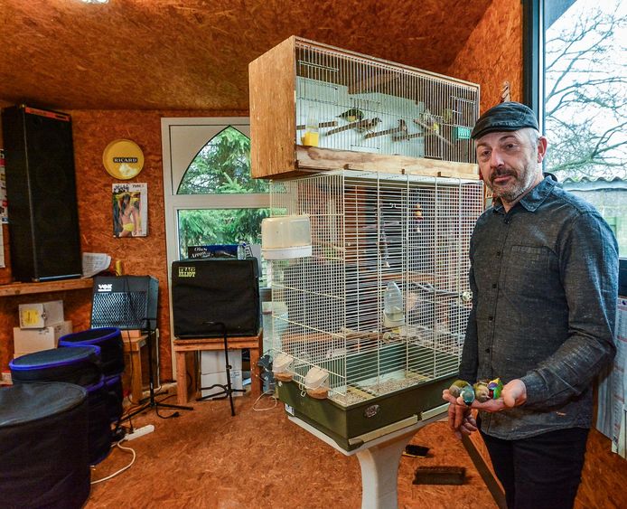 Frank Vandekerckhove, met de dode vogels in de hand, bij zijn resterende vogels.