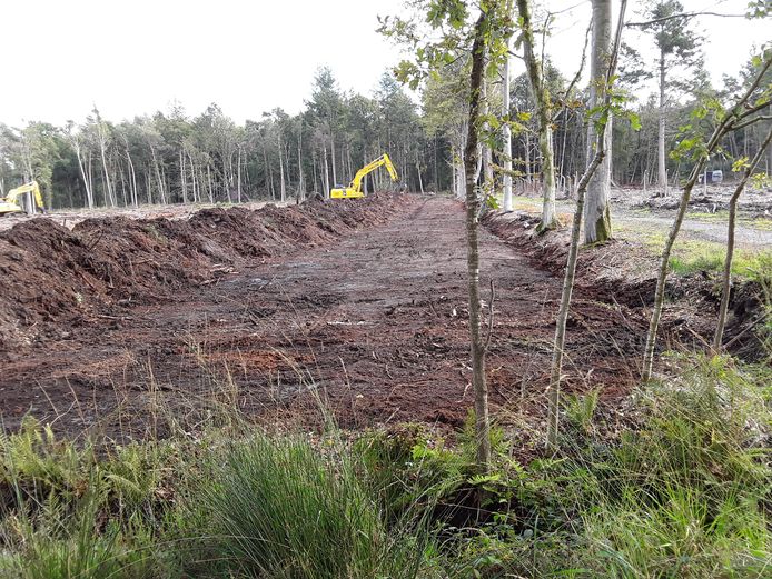 De voorbije weken werd in het Drongengoed geplagd, dat is het wegschrapen van de bovenlaag van de bodem.
