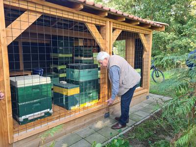 Zes bijenvolken zoemen over een Deldense begraafplaats: ‘Dit is een perfecte omgeving’