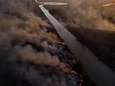Branden zetten Argentijns moerasgebied in vuur en vlam: bijna 100.000 hectare verwoest