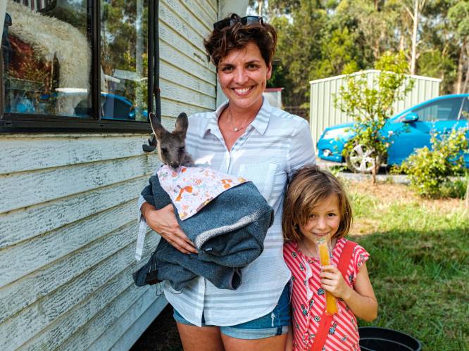 Onze reporter in Australië in het spoor van Vlaamse Dorien, die gewonde dieren bij haar thuis laat revalideren: “Belangrijk dat die beestjes overleven”
