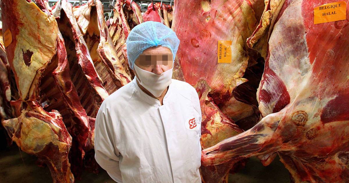 Hoe Paardenvlees Na 4 000 Kilometer Via Breda Verandert In Rundvlees Breda Bndestem Nl