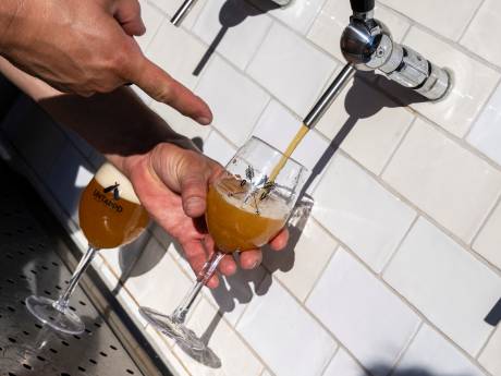 Voor de allereerste keer dacht ik: Nijmegen is zo gek nog niet