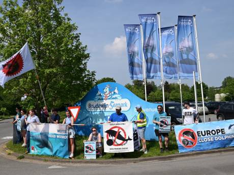 Nouvelle action à Bruges pour demander la fermeture du Boudewijn Seapark