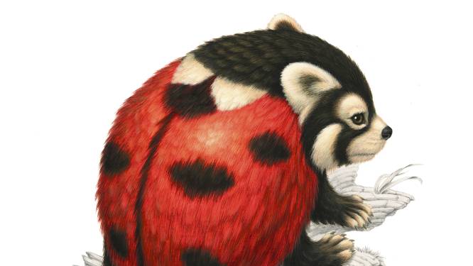De Gouden Griffel-winnaar en het mooiste natuurboek: dit zijn de toppers van Kinderboekenweek