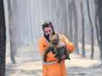 La facture salée des incendies en Australie