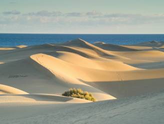 “Sekstoerisme” zorgt voor milieuproblemen in duinen op Gran Canaria