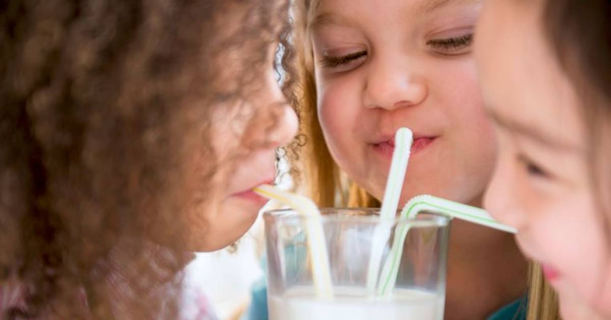 Kunnen Plantaardige Dranken Melk Vervangen Koken Eten Ad Nl